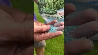 Scotts Turf Builder Kentucky Blue Grass Seed