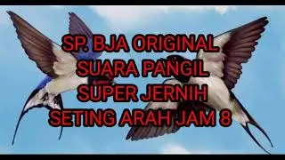 SP. BJA ORIGINAL 🔥SUARA WALET PALING DICARI PETANI WALET 🦚 Respon Full