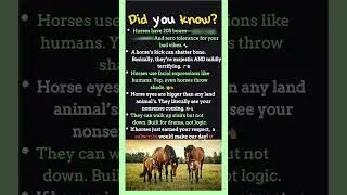 Horse Facts You&rsquo;ve NEVER Heard Before! 🐎💥 #facts #animal #didyouknow #animalfacts #horse #horses