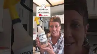 Safe Cleaning Products | Two Crazy Cat Ladies