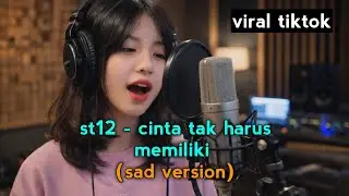 St12 - cinta tak harus memiliki cover akustik by musikan id 