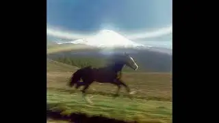 [FREE] SMINO X MONTE BOOKER TYPE BEAT - &ldquo;SPIRIT&rdquo;