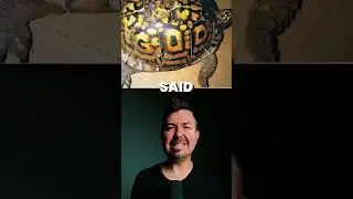 Have you seen this turtle with God written on it!🤯🐢 #God #
