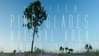 Pine Glades Natural Area, Jupiter, FL - LUMIX G7 Cinematic