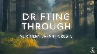 Enter the Mystical Forests of Japan | 8 Hour Sleep Journey