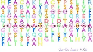 Gene Music using Protein Sequence of ATP5MC3 