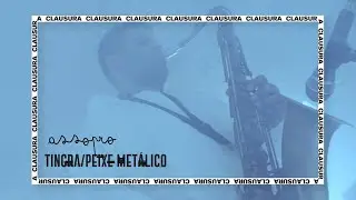 Assopro || Clausura || Tingra/Peixe Met&aacute;lico