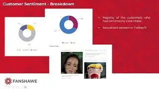 BrandWatch Analysis Final