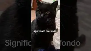 Tuo gatto 🐱 fa cos&igrave;?