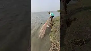Amazing net Fishing Video #amazingfishing #nature1 #fishing #foryou #youtubeshorts #vrilshorts