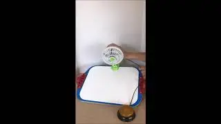 Switch adapted toys | Adaptive switches | Switch toys | Clip On Fan