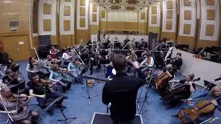 Skovens Harmoni / Harmony of the Forest