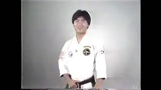 Volume 3, Part 1 Perfect Winning Kicking & Punching Combinations