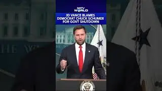 US VP JD Vance Accuses Democrat Chuck Schumer Of Causing US Government Shutdown