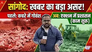 सांगोद: खबर का बड़ा असर! नींद से जागा प्रशासन, डंपिंग यार्ड में शुरू हुआ सफाई और मरम्मत का काम
