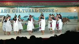 Tharu Cultural Dance