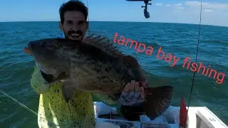 Exploring Tampa bay, fishing by the tides