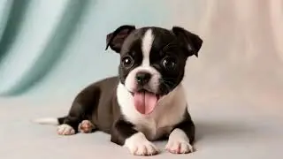 Soothing Light Music for Stress Relief | Peaceful Sounds & Cute Puppies to Relax Your Soul