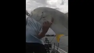 Bullsharks and Jacks
