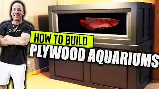 HOW TO build a plywood aquarium  - The king of DIY super edit