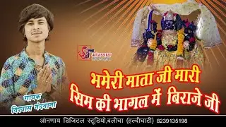 भमेरी माता जी मारी सिम की भागल मे बीराजे जी //#viswas nandwana // semal // Aannay studio haldighati