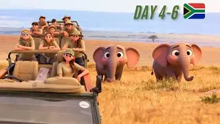 South Africa Safari #4-6 🇿🇦
