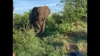 Travel with me to Thabamati!