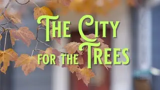 The City for the Trees
