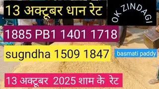 1885 1401 PB1 1718 1509 1847 sugndha paddy price today