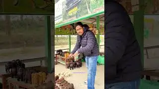 Handmade wooden Product Shop in Between Jungle  #handmade #woodworking #jungle #viral #viralshort