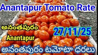 27 November 2025| today Tomato rate Ananthapuram market | Ananthapuram market tamatar rate today 
