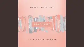 Promises