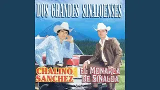 Pescadores De Ensenada
