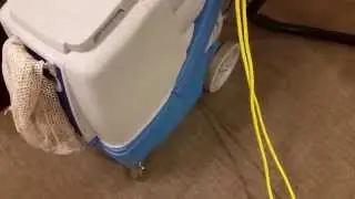 Procyon Soapfree Carpet and Upholstery