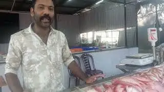 Shemeer Aishas