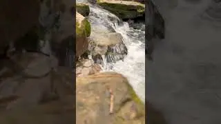 Geologic ASMR: Creek Rock Formations Unveiled