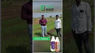Biofertilizers for Healthy Soil & High Yield Crops | Organic & Sustainable Farming | FertiBase