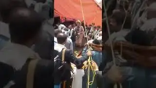عرس الزعيم صدام الحوصلي