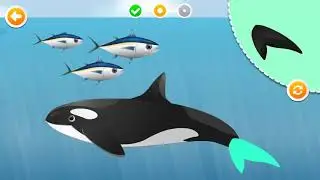 Puzzle Android Game for Kids - Popo Sea Animal Gameplay