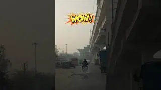 THIS IS EXTREMELY DANGEROUS 😳🚨 Bike Carrying a TREE on Highway! | Indian Roads #motormarvels