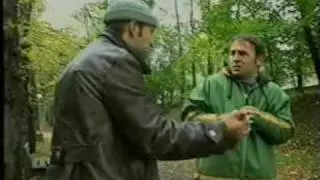 Ayoy - Sprawa Honoru