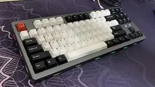 화공) Tx87v2 Holy Panda Typing Sounds