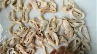Squid slicer Squid Ring Cutting Machine