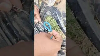 Genius perfect idea ✅💯💡 #shorts #ropetrick #knotting #knotskill #shortsfeed