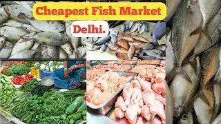 Cheapest Fish Market In Delhi || Govind Puri,Kalkaji Mandir Fish Market Captured ||Jalil AIIMS Delhi