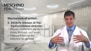 Echinacea: One Of Nature's Immune Modulators