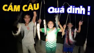Cắm Câu Mồi Cá Rô Non Không Ngờ Dính Cá Quá Chừng !  | Bảy Đúng TV