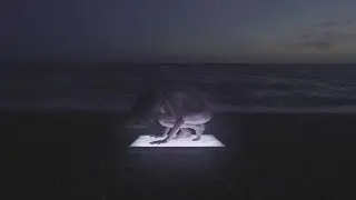Penelope Trappes - Connector (Official Video) [Houndstooth]