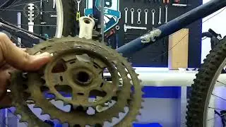 PEDIVELA PONTA QUADRADO ABSOLUTE &Eacute; BOM 