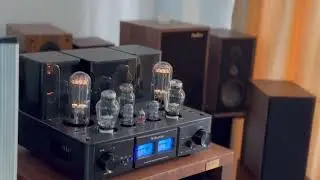#music Willsenton series all black combination🤩R800i ➕R11#audiophile #youtubeshorts 